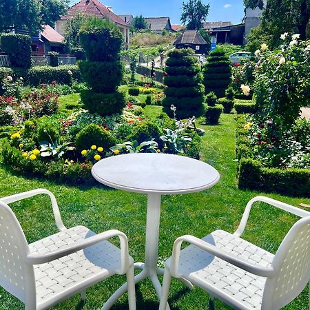 City Garden Kolašin Exteriér fotografie